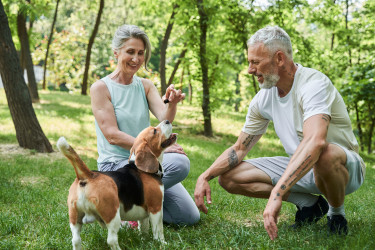 Pets and Senior Health Benefits